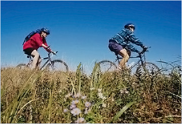 People Bike Riding Through Countryside